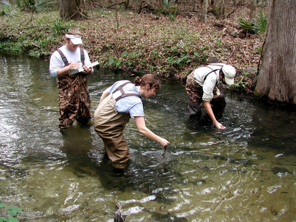 Three environmental scientists in chest waders collect stream samples and field data in a shallow forested creek.